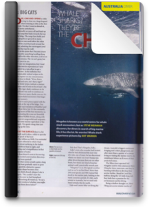 UK Diver Magazine, Steve Weinman October 2013